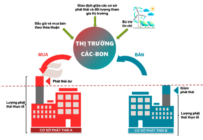 https://ahpgroup.vn/upload/image/%E1%BA%A2nh%20bai%20vi%E1%BA%BFt/Phat%20tri%E1%BB%83n%20th%E1%BB%8B%20tru%E1%BB%9Dng%20cac-bon%206.png