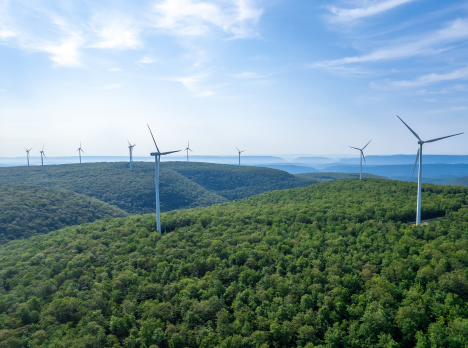 Kiểm toán năng lượng