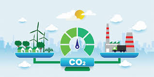 Quản lý phát thải carbon trong doanh nghiệp: KPI và công cụ