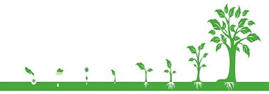 Lịch sử hình thành